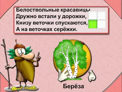 Неразгаданная загадка природы: деревья, которые закручиваются в