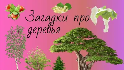 Деревья. Загадки о деревьях - презентация онлайн