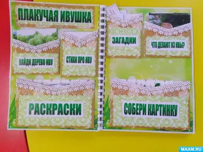 Неразгаданная загадка природы: деревья, которые закручиваются в