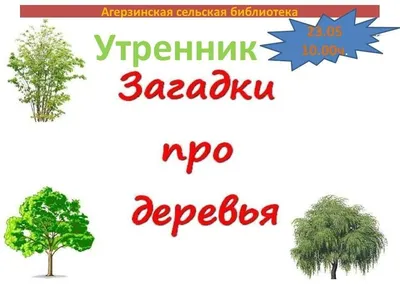 Обучающие загадки обо всём на свете