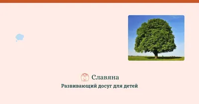 Загадки про деревья презентация, доклад, проект