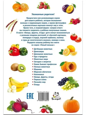 Овощи, фрукты, ягоды. Фотокнига для самых маленьких Владис 14244461 купить  за 195 ₽ в интернет-магазине Wildberries