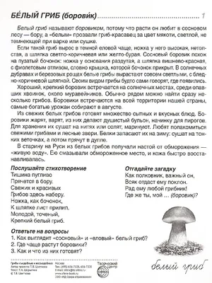 ТЕСТ! Вы знаете все о грибах? Проверьте свои знания с этим увлекательным  тестом! Грибы - маленькие загадки леса | Здоровое питание в действии! | Дзен