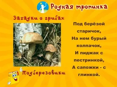 В мире творчества" : Загадки про грибы