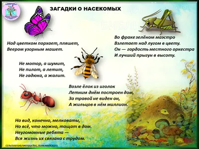 Загадки про насекомых - Детский Портал Знаний