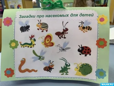 Лучшие Загадки про насекомых для детей 3-4-5 лет с ответами. ТОП -100 -  