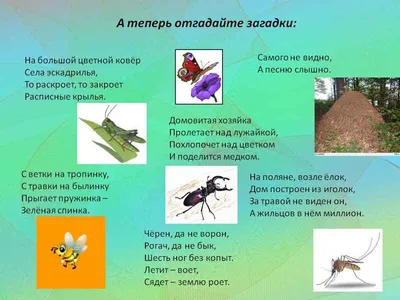 Презентация на тему: "Загадки о насекомых". Скачать бесплатно и без  регистрации.