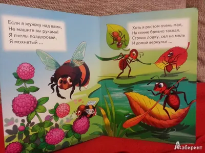 Загадки Насекомые 🐜 Для детей 🐝 Учим насекомых 🐞 Насекомые мультик 🐛  Развивающие мультики - YouTube