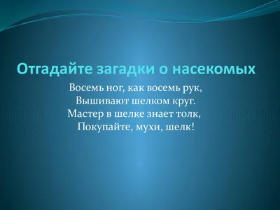 Иллюстрация 5 из 22 для Загадки-обманки. Насекомые - Кристина Стрельникова  | Лабиринт - книги. Источник: Фоничева Катерина