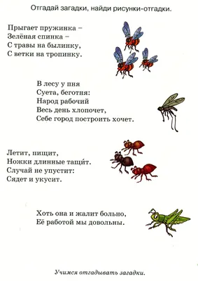 Загадки про НАСЕКОМЫХ. Угадай насекомых. Развивающий детский мультик загадка  - YouTube