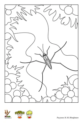 Книга: Загадки мира насекомых Иллюстрации Яна Джексона. Пер. с англ. А. И.  Кима. Купить за  руб.