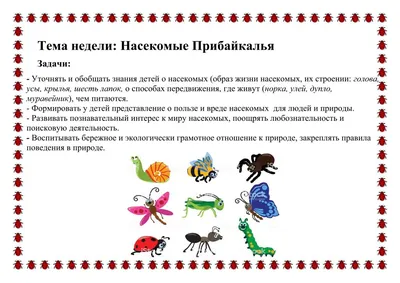 Загадки о насекомых