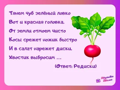 Загадки про овощи — интересные загадки про овощи для детей с ответами