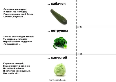 Загадки про овощи — интересные загадки про овощи для детей с ответами