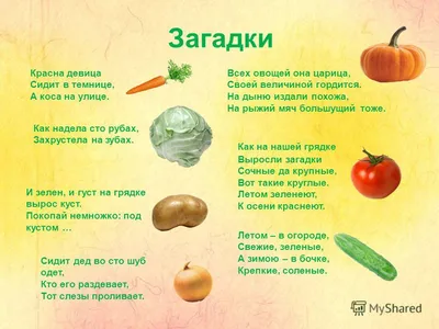 Puzzles for kids about vegetables with the answers. About vegetables for  children. Riddles - YouTube