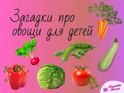 Загадка про овощи с картинкой | Загадки, Овощи, Детская поэзия