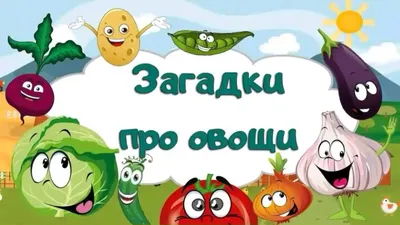 Загадки про овощи — интересные загадки про овощи для детей с ответами