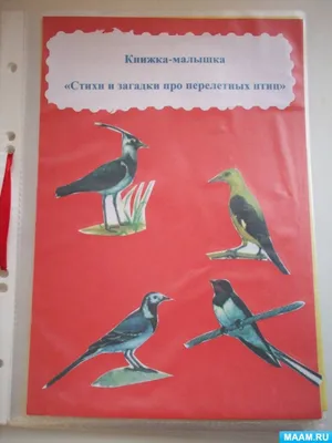 Лексическая тема "Перелётные птицы" (развитие речи дошкольника).  Консультация учителя-логопеда. | Радуга знаний | Дзен