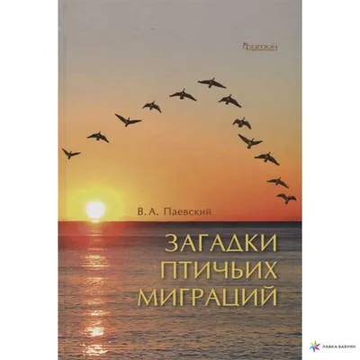 Осень в «Моем районе»: парки Москвы приглашают понаблюдать за птицами /  Новости города / Сайт Москвы