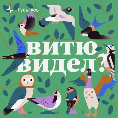 Витю видел? – Podcast – Podtail