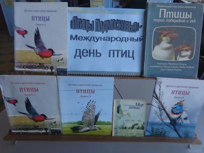 План занятия для детей средней группы дошкольного образования: Перелетные  птицы. Загадки про птиц. Пальчиковая гимнастика. | Дневник воспитателя |  Дзен