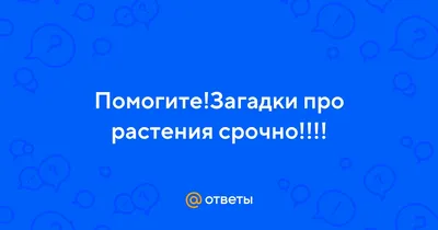 Загадки про лето. Государственное учреждение образования "Детский сад №15  г. Калинковичи"