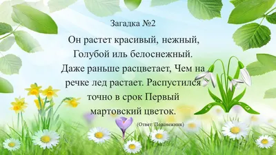 Загадки про весну - Подготовка к школе и развивающие задания для детей  Мама7я