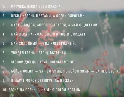 Загадки про весну для детей: 30 загадок с ответами для детей 4–5, 6–7 и 8–9  лет | "Где мои дети" Блог