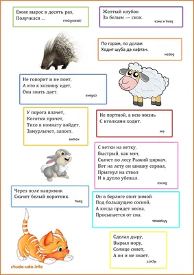 Загадки про животных для детей | Загадки, Для детей, Животные