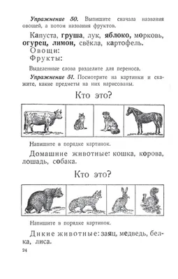 Загадка о животных и рисунок (47 фото) » рисунки для срисовки на  Газ-квас.ком