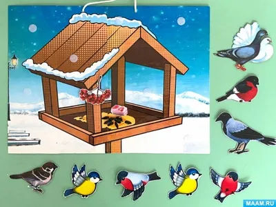 Занятие "Зимующие птицы" для детей старшей группы