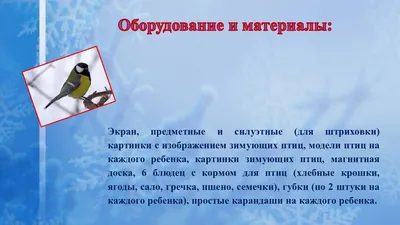 Проект в подготовительной группе на тему "Зимующие птицы"