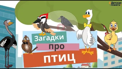 Синичкин день — Муниципальное бюджетное дошкольное образовательное  учреждение детский сад "Березка"