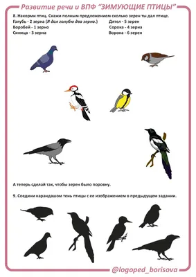 Картотека загадок и стихотворений о зимующих птицах (1 фото). Воспитателям  детских садов, школьным учителям и педагогам - Маам.ру