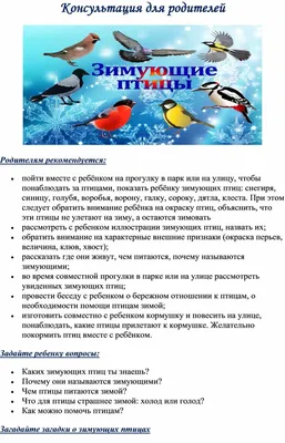 Смелая птица, мороза не боится» | Центральная детская библиотека г. Саянска