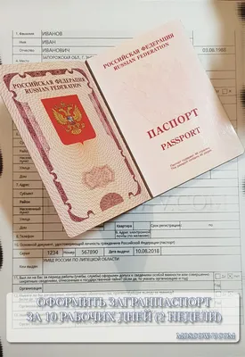 Срок действия загранпаспорта для поездки за границу в 2023 году: правила  въезда в 16 стран