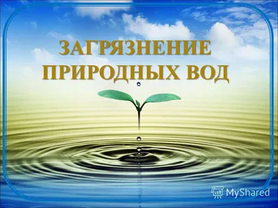 Загрязнение Воды: последние новости на сегодня, самые свежие сведения |   - новости Волгограда