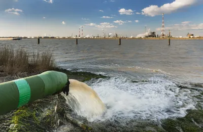 Загрязнение пресных вод убивает мир | Водные ресурсы | Дзен