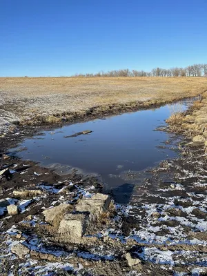 Последствия загрязнения воды