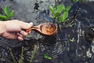 Загрязнение водоемов сточными водами: источники загрязнений, методы очистки  воды - Pakhotin