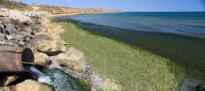 В Челябинской области нашли источник загрязнения воды целого города │  Челябинск сегодня