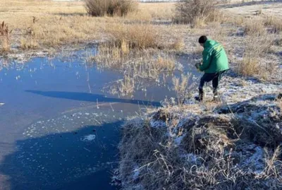 Загрязнение воды - 3D үлгү - Mozaik санариптик билим берүү жана окутуу