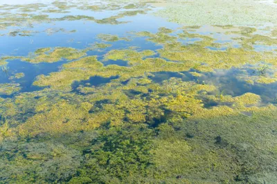 Эксперты ООН: загрязнение воды в американском городе Флинт - грубое  нарушение прав человека | Новости ООН