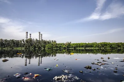 Загрязненная природа (72 фото) »
