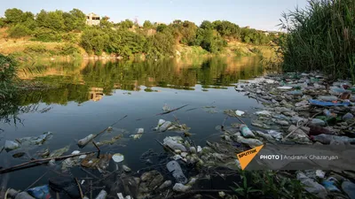 Гуси и утки из поселка Орловский Пронского района не хотят купаться в