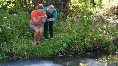 Во Владимирской области оштрафовали фермера за загрязнение местной реки  навозом ⋆ НИА "Экология" ⋆