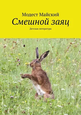 Детская сказка про двух зайчиков и волшебную поляну | Сказки перед сном |  Дзен