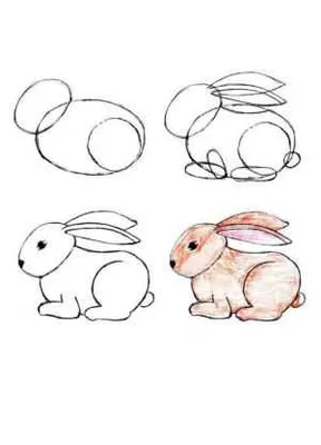 Как нарисовать зайца из Ну погоди поэтапно 2 урока | Эскизы персонажей,  Рисунки, Альбом для рисования