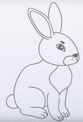 Раскраски рисунок, Раскраска Рисунок зайца домашние животные.