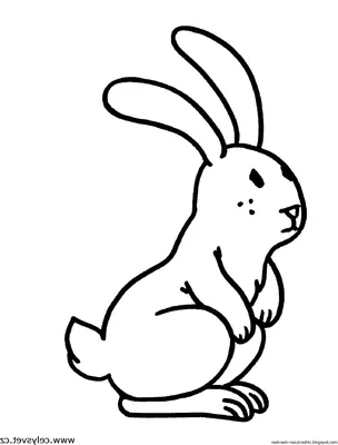 Рисунок заяц для детей раскраска - 57 фото